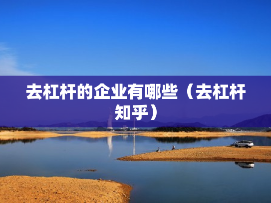 去杠杆的企业有哪些（去杠杆知乎）