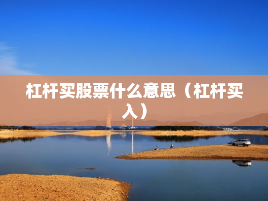 杠杆买股票什么意思（杠杆买入）