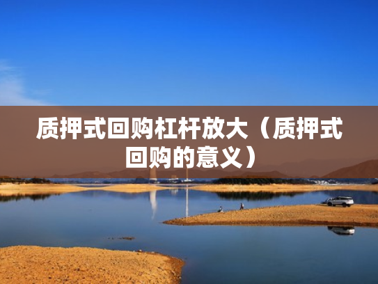 质押式回购杠杆放大（质押式回购的意义）