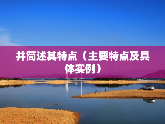 并简述其特点（主要特点及具体实例）