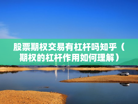 股票期权交易有杠杆吗知乎（期权的杠杆作用如何理解）