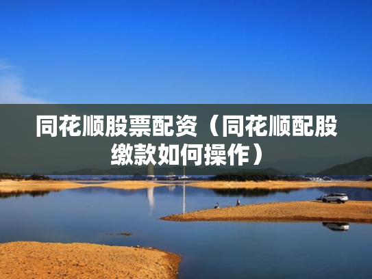 同花顺股票配资（同花顺配股缴款如何操作）