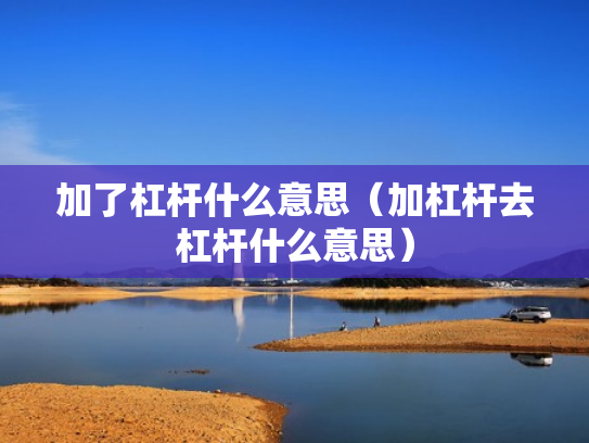 加了杠杆什么意思（加杠杆去杠杆什么意思）