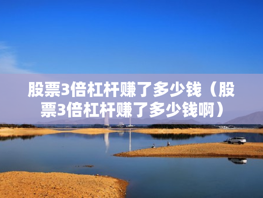 股票3倍杠杆赚了多少钱（股票3倍杠杆赚了多少钱啊）