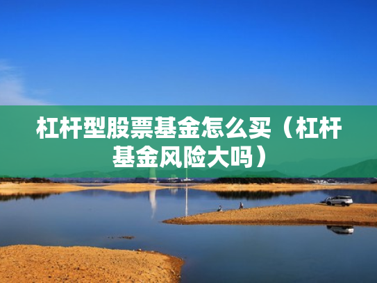 杠杆型股票基金怎么买（杠杆基金风险大吗）