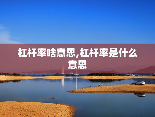 杠杆率啥意思,杠杆率是什么意思