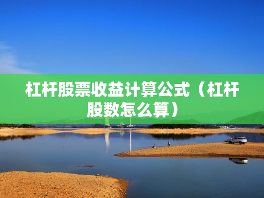 杠杆股票收益计算公式（杠杆股数怎么算）