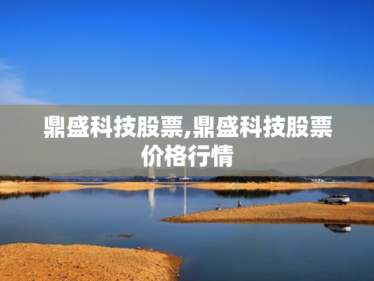 鼎盛科技股票,鼎盛科技股票价格行情