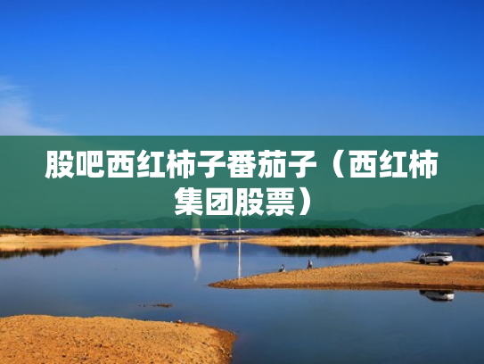 股吧西红柿子番茄子（西红柿集团股票）