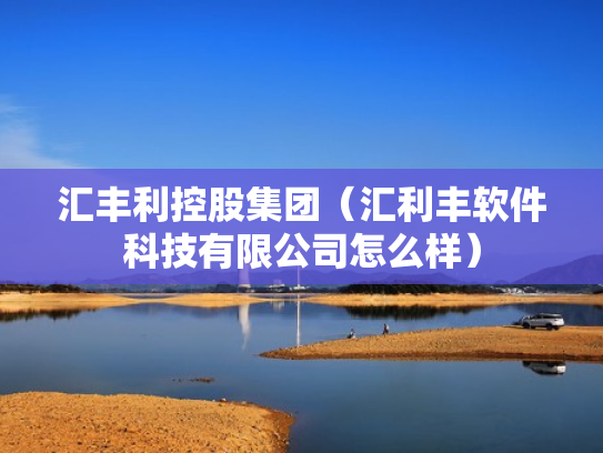 汇丰利控股集团（汇利丰软件科技有限公司怎么样）