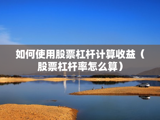 如何使用股票杠杆计算收益（股票杠杆率怎么算）