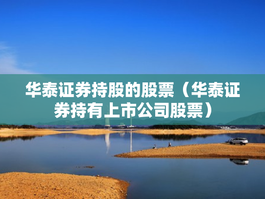 华泰证券持股的股票（华泰证券持有上市公司股票）