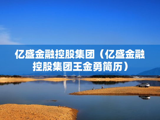 亿盛金融控股集团（亿盛金融控股集团王金勇简历）