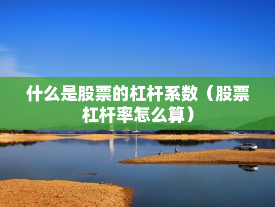 什么是股票的杠杆系数（股票杠杆率怎么算）