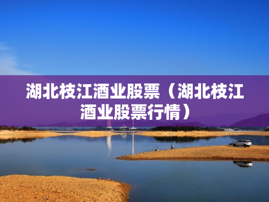 湖北枝江酒业股票（湖北枝江酒业股票行情）