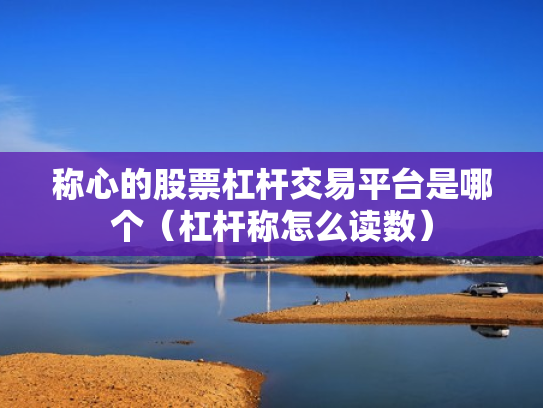 称心的股票杠杆交易平台是哪个（杠杆称怎么读数）