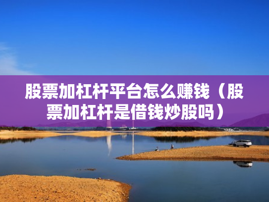 股票加杠杆平台怎么赚钱（股票加杠杆是借钱炒股吗）