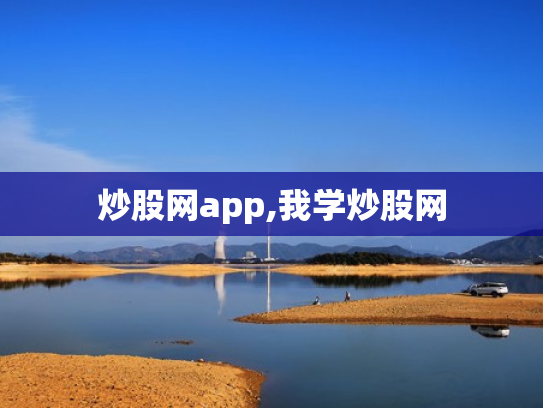 炒股网app,我学炒股网