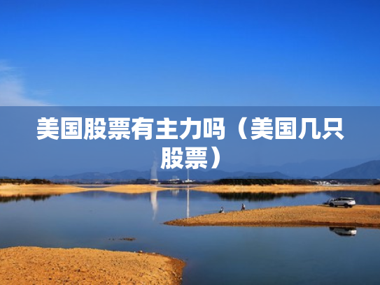 美国股票有主力吗（美国几只股票）