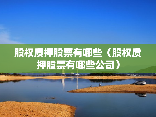 股权质押股票有哪些（股权质押股票有哪些公司）