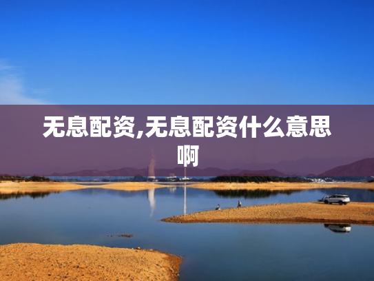 无息配资,无息配资什么意思啊