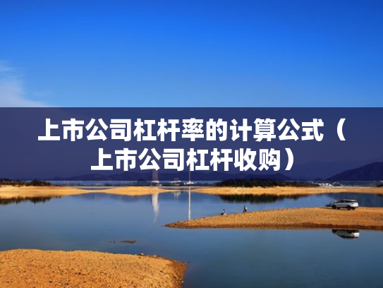 上市公司杠杆率的计算公式（上市公司杠杆收购）