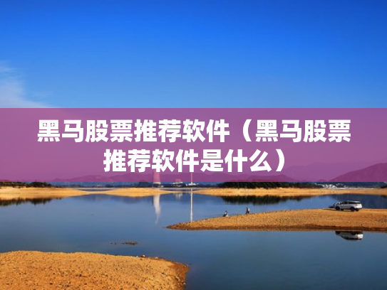黑马股票推荐软件（黑马股票推荐软件是什么）
