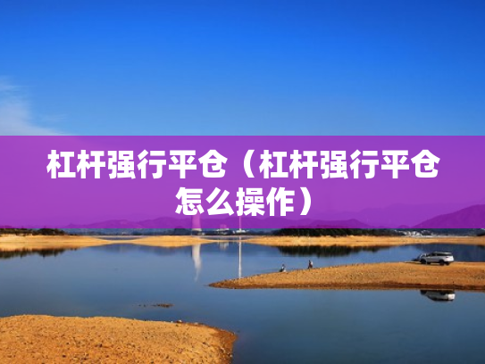 杠杆强行平仓（杠杆强行平仓怎么操作）