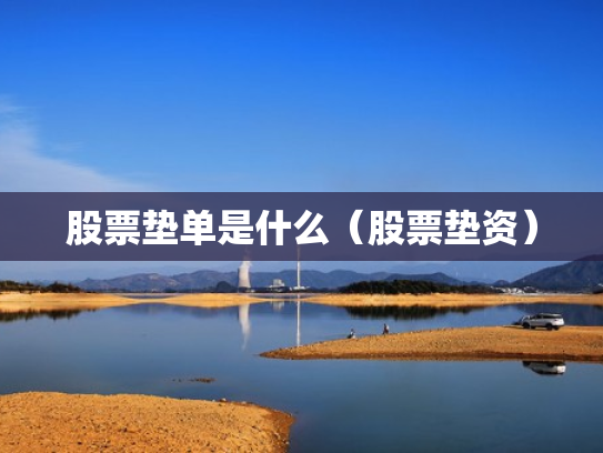 股票垫单是什么（股票垫资）