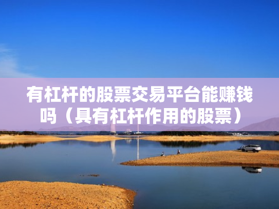 有杠杆的股票交易平台能赚钱吗（具有杠杆作用的股票）
