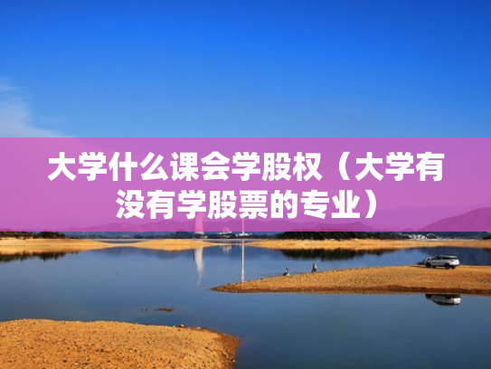 大学什么课会学股权（大学有没有学股票的专业）