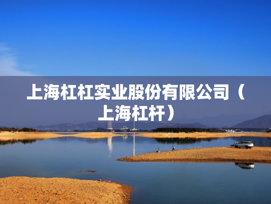 上海杠杠实业股份有限公司（上海杠杆）