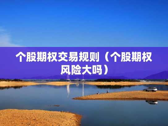 个股期权交易规则（个股期权风险大吗）