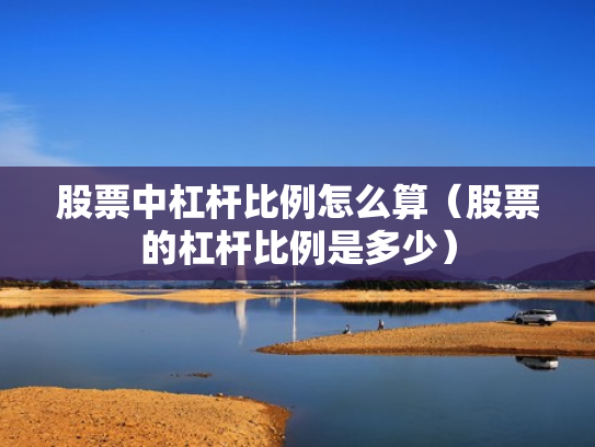 股票中杠杆比例怎么算（股票的杠杆比例是多少）