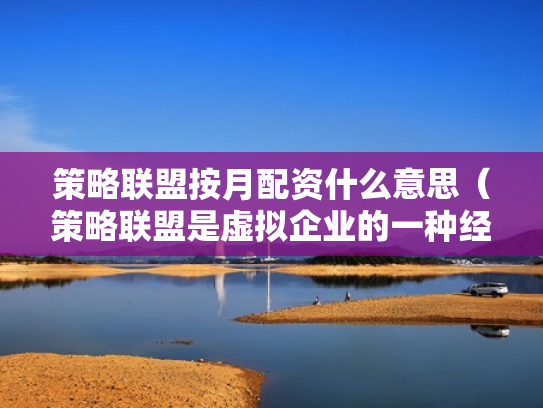 策略联盟按月配资什么意思（策略联盟是虚拟企业的一种经营模式）