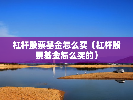 杠杆股票基金怎么买（杠杆股票基金怎么买的）