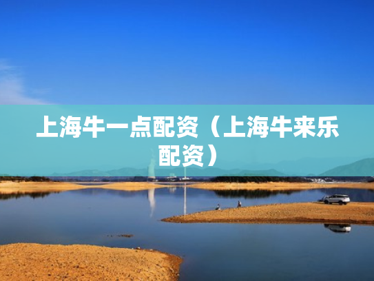 上海牛一点配资（上海牛来乐配资）