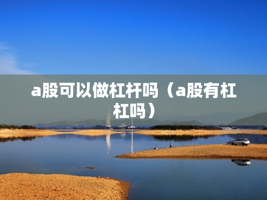 a股可以做杠杆吗（a股有杠杠吗）