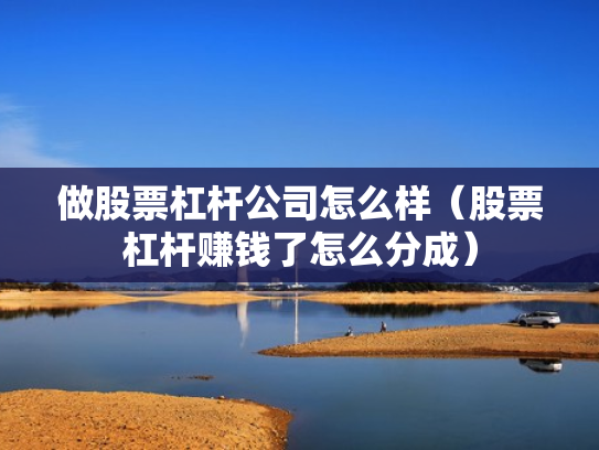 做股票杠杆公司怎么样（股票杠杆赚钱了怎么分成）