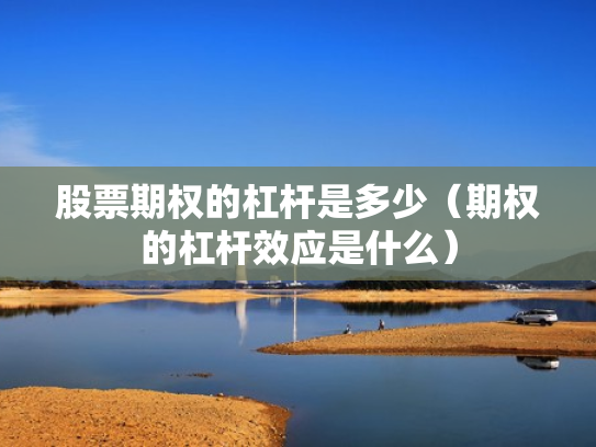 股票期权的杠杆是多少（期权的杠杆效应是什么）
