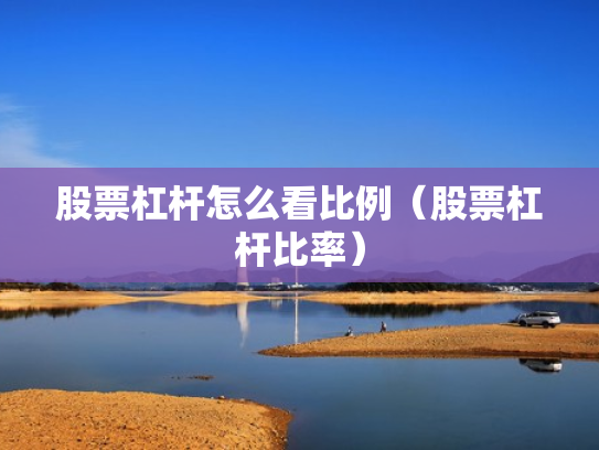 股票杠杆怎么看比例（股票杠杆比率）