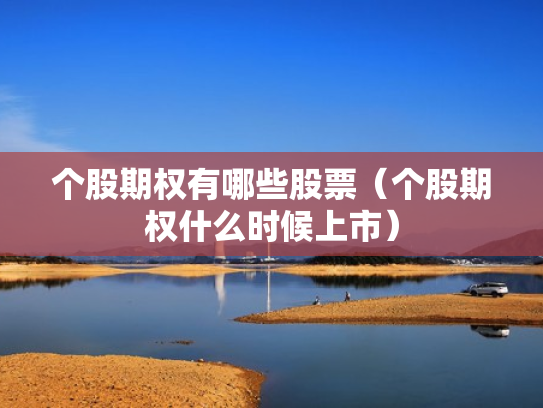 个股期权有哪些股票（个股期权什么时候上市）