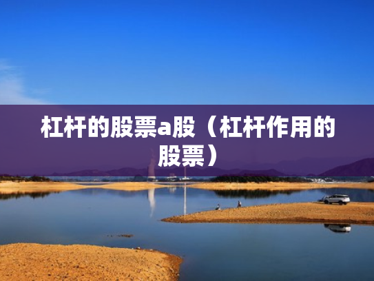 杠杆的股票a股（杠杆作用的股票）