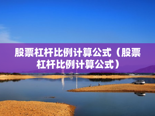股票杠杆比例计算公式（股票杠杆比例计算公式）