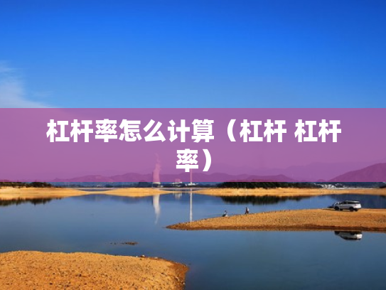 杠杆率怎么计算（杠杆 杠杆率）