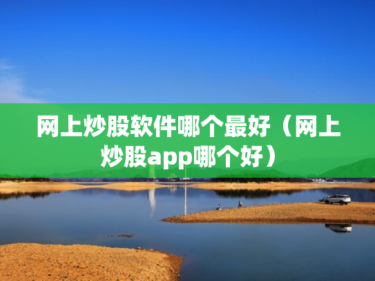 网上炒股软件哪个最好（网上炒股app哪个好）
