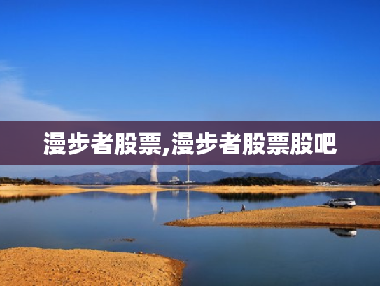 漫步者股票,漫步者股票股吧