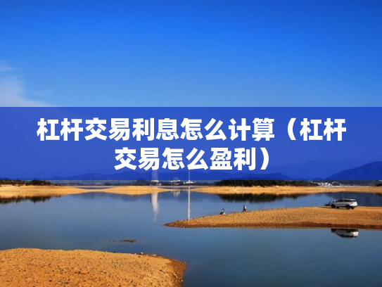 杠杆交易利息怎么计算（杠杆交易怎么盈利）