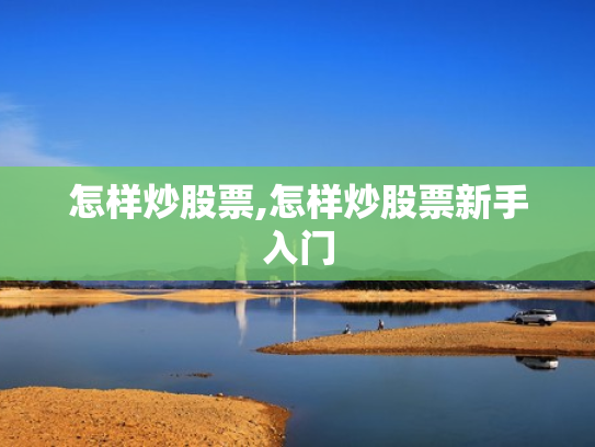 怎样炒股票,怎样炒股票新手入门