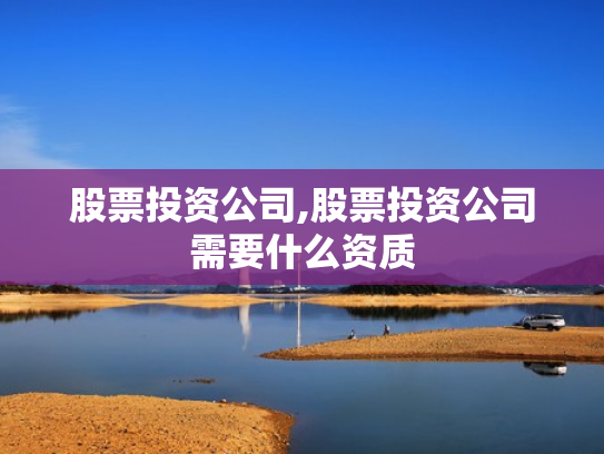 股票投资公司,股票投资公司需要什么资质